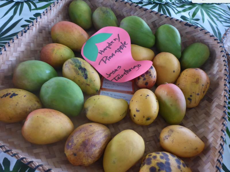 mango