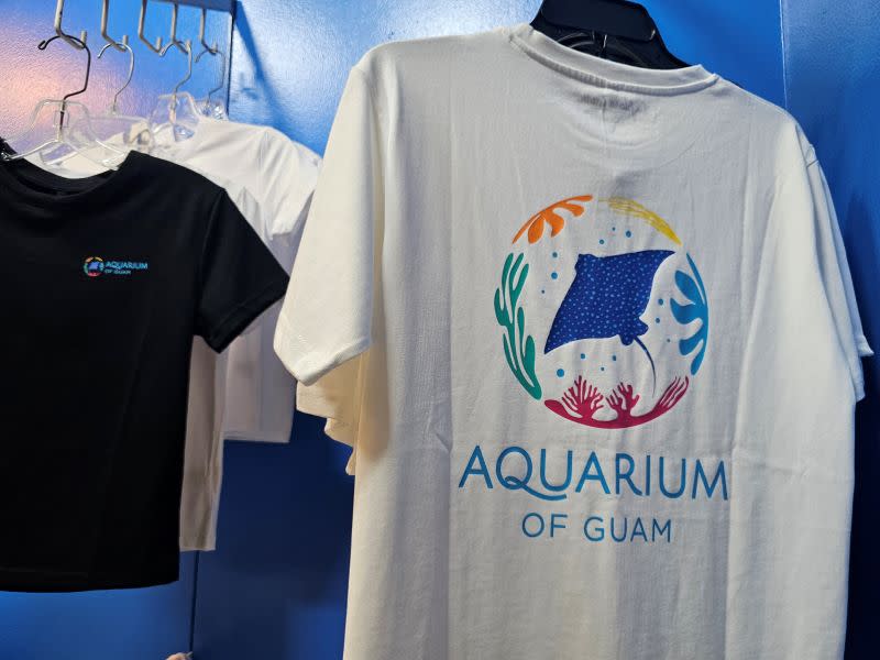 aqua_15