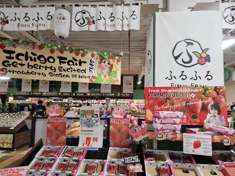 donki11