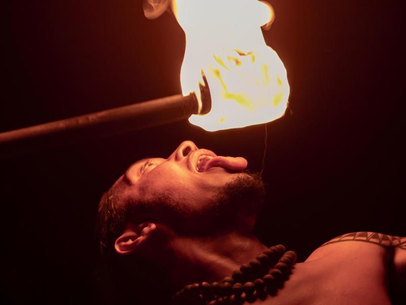 fisheyedinnershow9