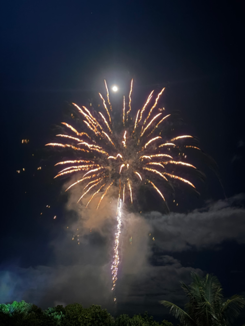 firework2026-4