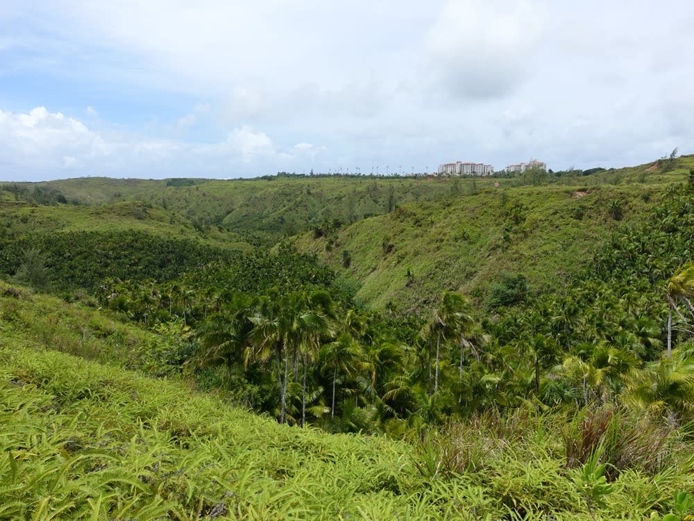 ssiguafall04