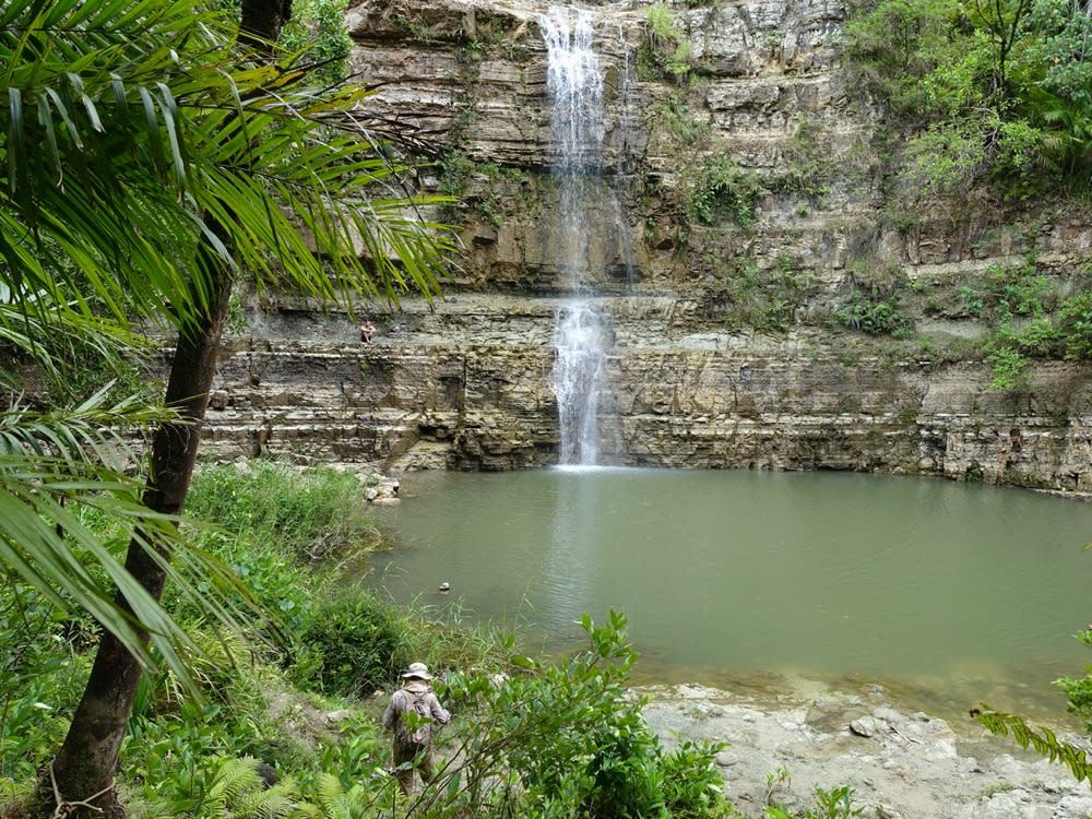 ssiguafall12
