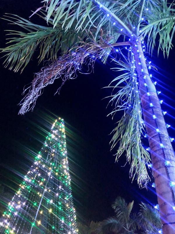 skinnerplaza06