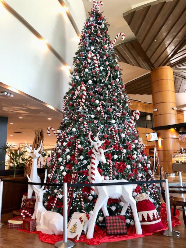 hotelchristmas2022-2