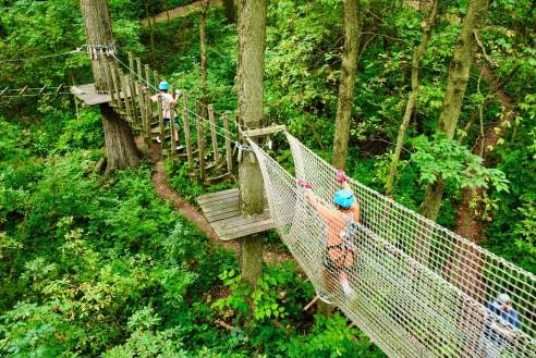 Koteewi Aerial Adventure