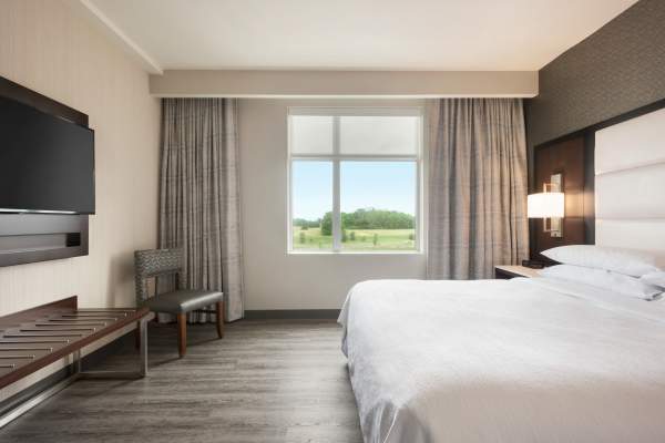 Year to Be Here Hotel Rate: Embassy Suites by Hilton Noblesville Indianapolis Conference Center