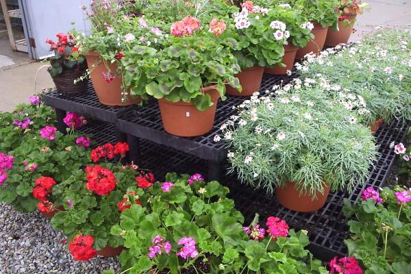 Gatewood Vegetable Farm & Greenhouses