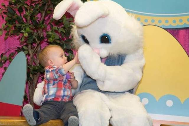 Breakfast with the Bunny