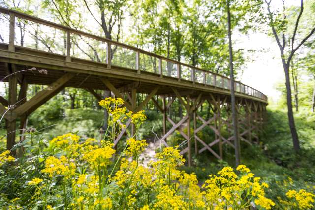 Flat Fork Creek Park