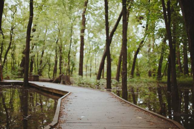 Ritchey Woods Nature Preserve