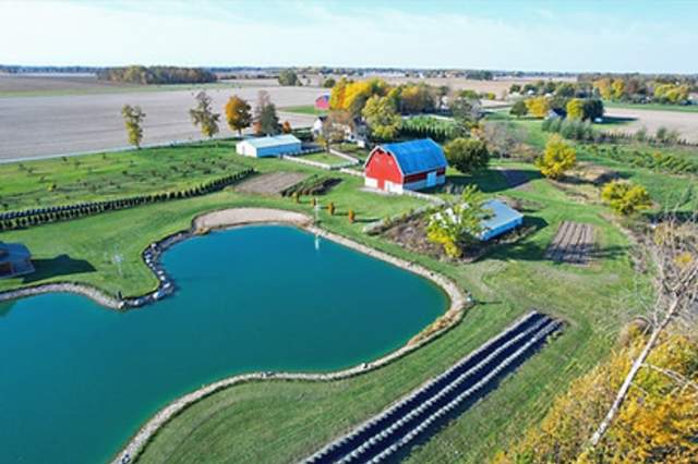Evenings at the Farm: Live