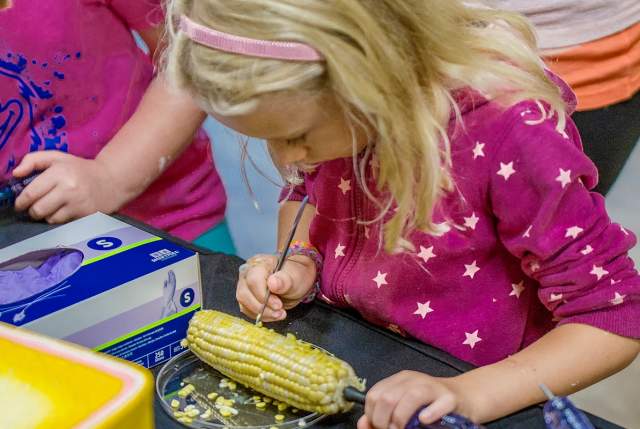 Celebration of Corn