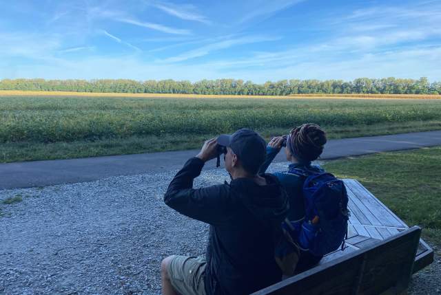 Stationary Birding