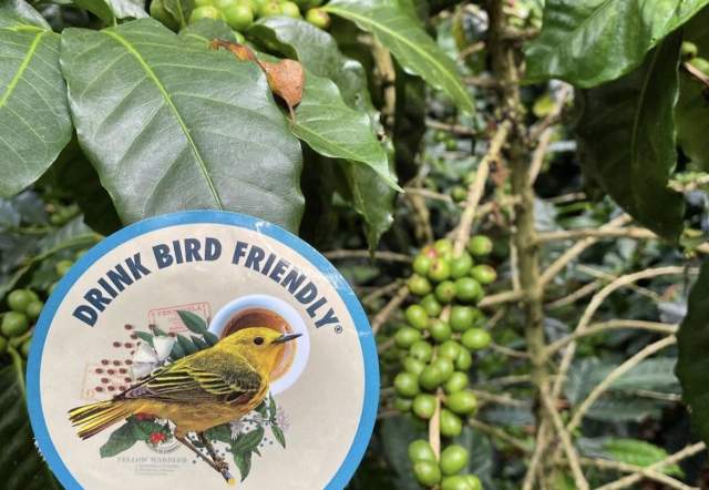 Wood Warbler Coffee