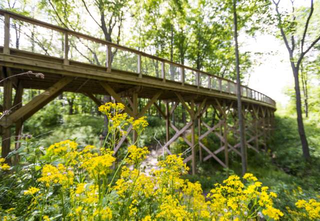 Flat Fork Creek Park