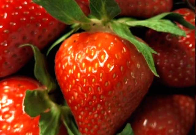 Smoothie King Fishers