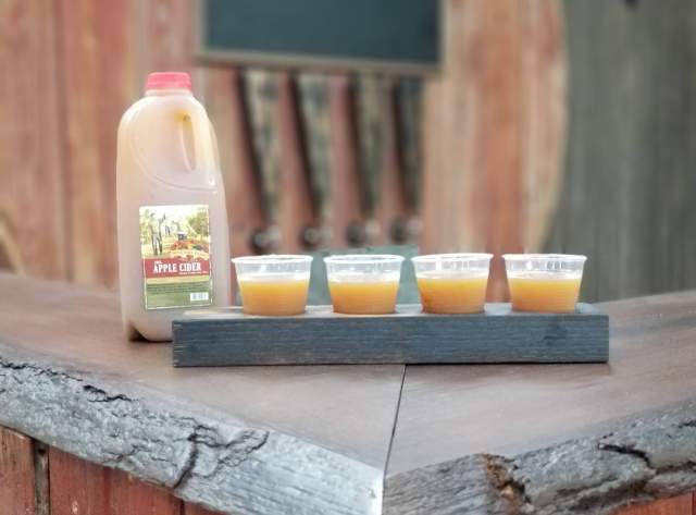 Harvest Festival at Stuckey Farm