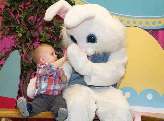 Breakfast with the Bunny