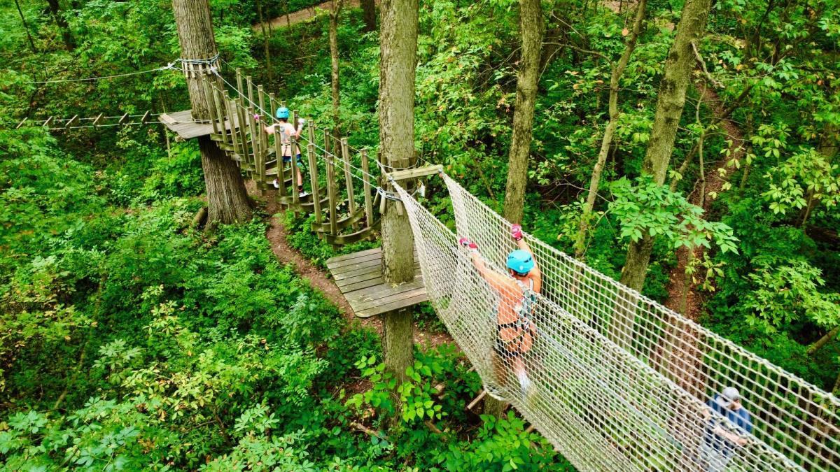 Koteewi Aerial Adventure