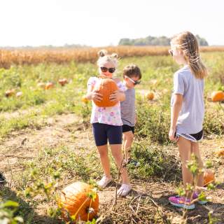 A Guide to Pumpkin Patches in Hamilton County