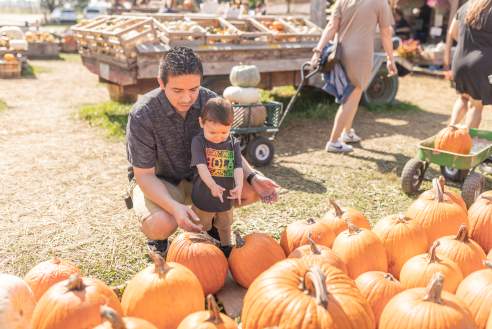 A man kneels with a young child while selecting pumpkins at Russell Farms Pumpkin Patch, surrounded by rows of bright orange pumpkins and fall produce displays.