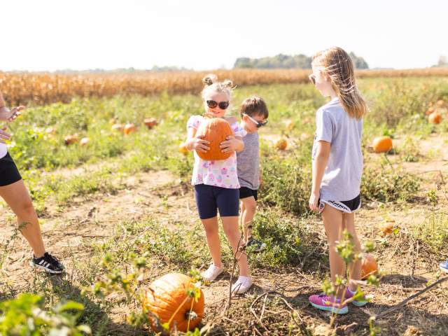 A Guide to Pumpkin Patches in Hamilton County