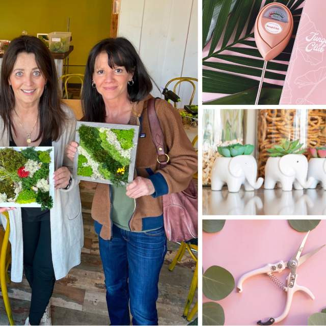Collage showing three people standing indoors holding finished square moss wall art, alongside close-up images of a plant moisture meter, small elephant-shaped planters filled with succulents, and pink-handled gardening shears on a pastel background, representing nature-inspired home decor and DIY plant projects.