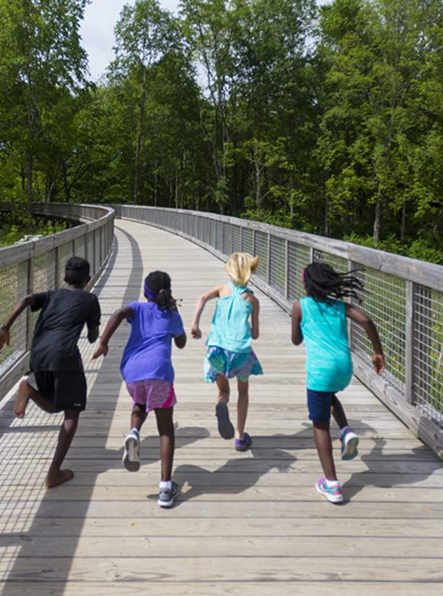 Flat Fork Creek Park