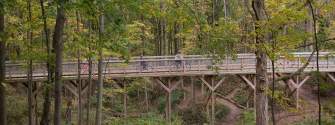 A Bridge In Flat Fork Creek Park