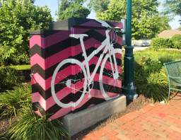 Bike Ride