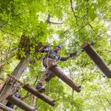 Koteewi Aerial Adventure Treetop Trails