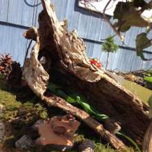 Fairyville Trail