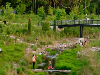 People explore a green park landscape, with adults and children crossing a shallow creek on stepping stones while others walk across a pedestrian bridge above.