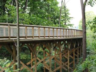 Flat Fork Creek Park