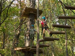 A person wearing a helmet navigating an elevated rope course among trees.