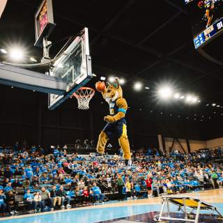 Get The Ultimate Hamilton County Sports Weekend Package