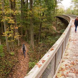 Seven Places to Enjoy Fall Foliage in Hamilton County