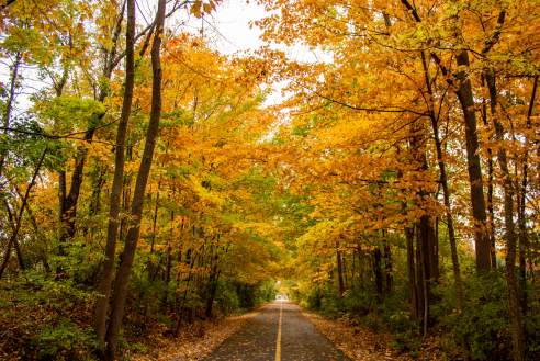 Monon Trail