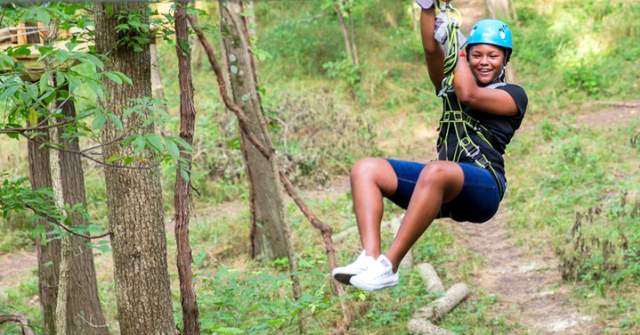 zipline