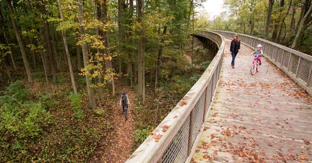 Five Places to Enjoy Fall Foliage in Hamilton County