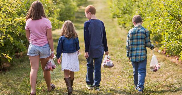 Family Fall Itinerary