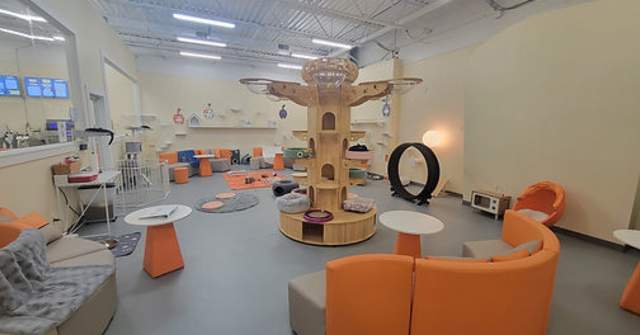 Pawz Pet Cafe