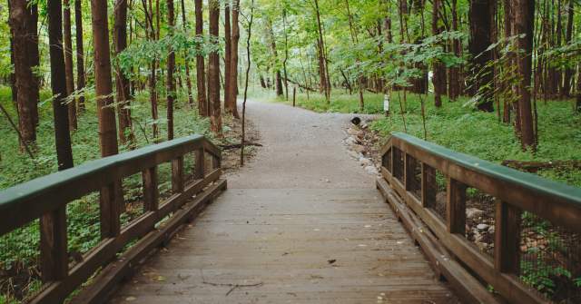 Explore These Hamilton County Nature Preserves