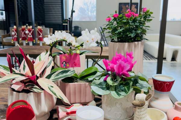A vibrant display of potted flowers, candles, and decorative items on a wooden table, creating a welcoming indoor atmosphere.