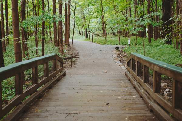 Ritchey Woods