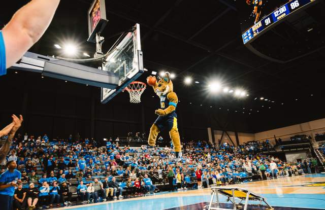 Get The Ultimate Hamilton County Sports Weekend Package