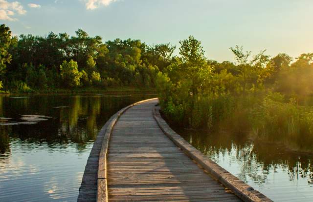 Hamilton County is Your Next Dopamine Destination