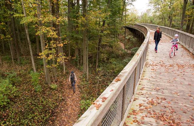 Five Places to Enjoy Fall Foliage in Hamilton County
