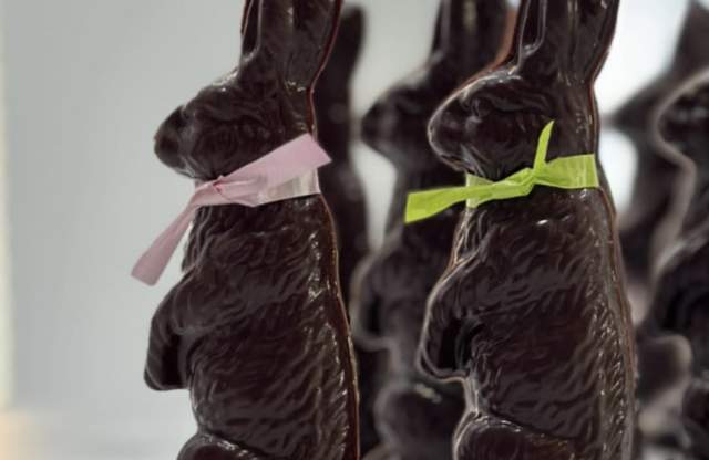 Xchocol'art chocolate bunny